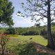 Viager maison Le Vauclin 97280