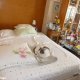 Viager appartement Paris 75012