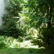 Viager appartement Paris 75017