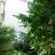 Viager appartement Paris 75017