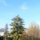 Viager appartement Paris 75011