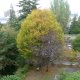 Viager appartement Paris 75011