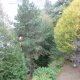 Viager appartement Paris 75011