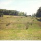 Viager maison Cazeres 31220