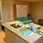 Viager appartement Paris 75011