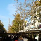 Viager appartement Paris 75015
