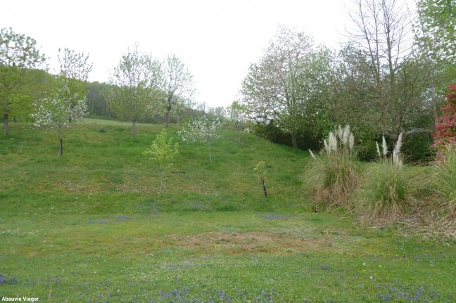 Viager Maison  4 pices - 100m 31220 Cazeres