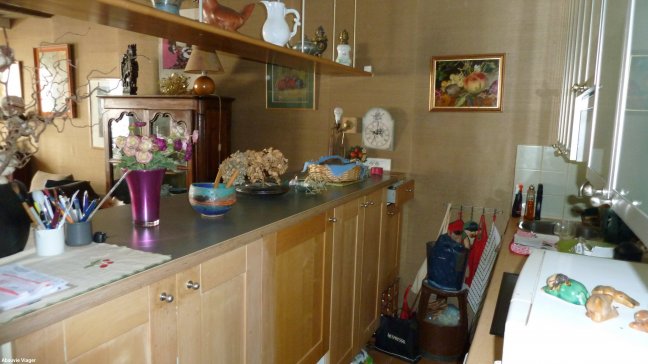 Viager Appartement  2 pices - 49m 94220 Charenton-le-pont