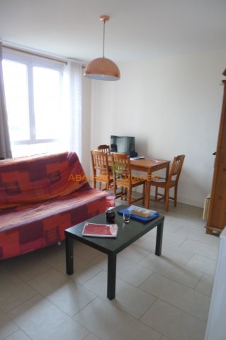 Viager Appartement  3 pices - 54.72m 94800 Villejuif