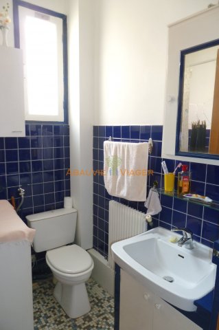 Viager Appartement  2 pices - 46.48m 75015 Paris