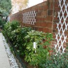Viager maison Colombes 92700