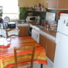 Viager appartement Paris 75015