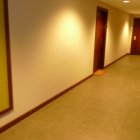 Viager appartement Paris 75015