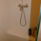Viager appartement Paris 75015