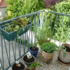 Viager appartement Alfortville 94140