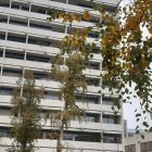 Viager appartement Paris 75012